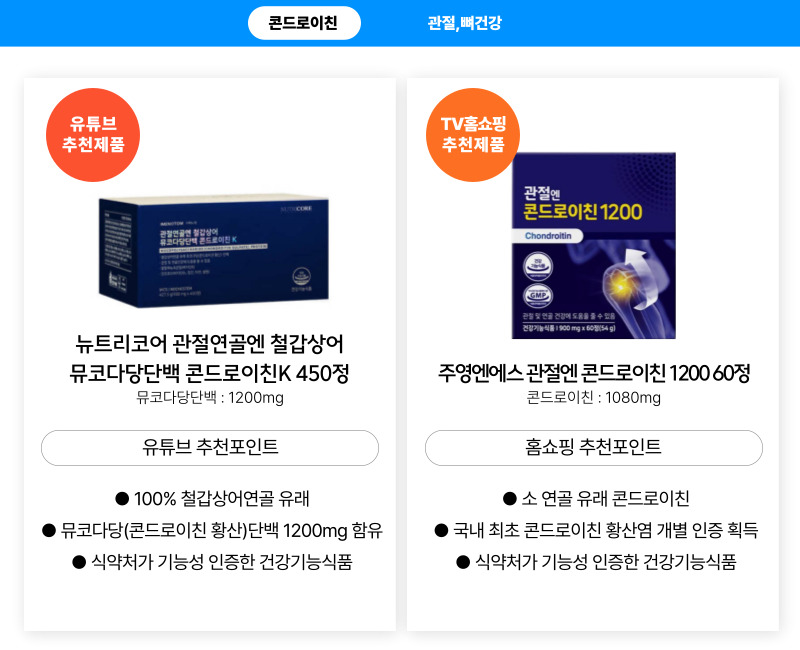 콘드로이친
