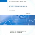 정보통신정책연구원 행정정보화(G4C) 성과분석