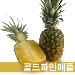 과일 | 농산물 최저가 검색 - 에누리 가격비교
