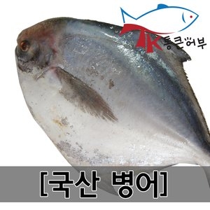 '통큰어부 국산 병어 싱싱한 병어 제수용병어 병어조림' 최저가 쇼핑 정보 - 에누리가격비교 '통큰어부 국산 병어 싱싱한 병어 제수용병어 병어조림' 최저가 쇼핑 정보 - 에누리가격비교