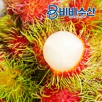 비비수산 람부탄 1kg [1개]