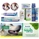 한빛 와우 녹차치약