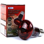 렙티주  적외선 히트램프 50W