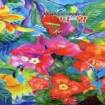 현대시선  다향 상품이미지