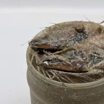 강경장수젓갈  전통 김장젓갈 갈치젓 1kg