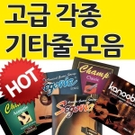 캐슬  어쿠스틱 기타줄 1047