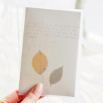 시소 seeso letter set - leaf