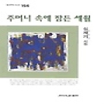 월간문학출판부  주머니 속에 잠든 세월