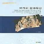 주류성펴냄  백제의 문화유산(백제문화개발연구원 역사문고 17)