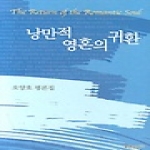 푸른사상  낭만적 영혼의 귀환 (양장본)