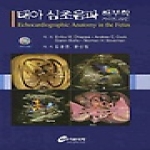 가본의학  태아 심초음파 해부학 가이드라인 (DVD 포함)