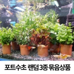 지금 급락한 인기상품 썸네일