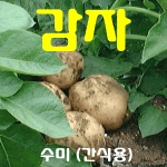 코레마을 꼬레촌 감자 수미 특 1번 20kg