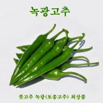 코레마을 꼬레촌 녹광고추 최상품 5kg[1개]