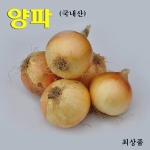 코레마을  저장용 양파 중상 20kg