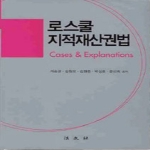 법문사  로스쿨 지적재산권법