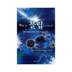 지혜의나무  블립