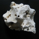 난이네아쿠아  해구석 20kg