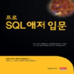 아이티씨(ITC)펴냄  프로 SQL 애저 입문