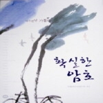 흰물결  확실한암호