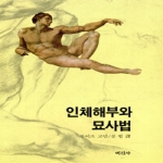미진사 인체해부와 묘사법