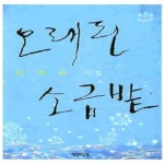 책만드는집(기탄잘리)  오래된 소금밭 (양장본)