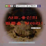 두원미디어  사주, 용신의 발톱을 찾아라! - 춘하추동 실전사주학 6