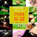 황소걸음(광개토)  주머니 속 거미 도감 - 생태 탐사의 길잡이 8