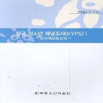 한국청소년개발원  한국 청소년 패널조사 KYPS Ⅰ
