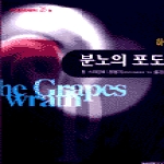 범우사  분노의 포도 - 하 - 범우비평판세계문학선 26-2