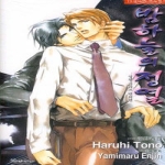 현대지능개발사(루비)  (소설) 밤하늘의 정열 - 러쉬노벨 로맨스 181