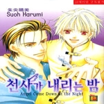 현대지능개발사펴냄  천사가 내리는 밤(뉴루비코믹스 154)