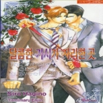 현대지능개발사(루비) (소설) 달콤한 가시가 자리한 곳 - 러쉬노벨로맨스소설 184