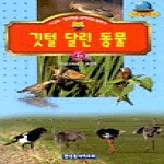 한국독서지도회  깃털 달린 동물