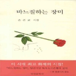 국민문학사 바느질하는 장미