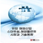 비아이알(BIR)  유망 해양산업 - 스마트쉽, 해양플랜트 시장과 기술동향