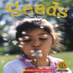 월드컴(WorldCom) Seeds Set Grade 1 - Brain Bank (Book 1권 ＋ Workbook 1권 ＋ CD 1)