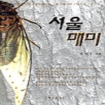 제3공간펴냄  서울 매미