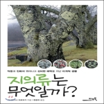 지오북  지의류는 무엇일까 적응과 진화에 뛰어나고 신비한 매력을 지닌 미개척 생물