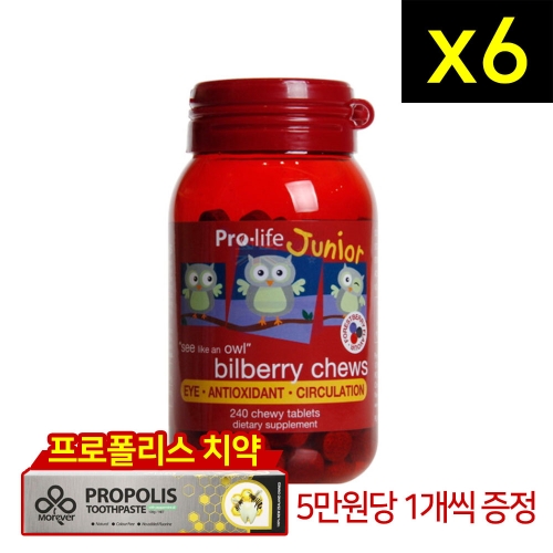 프로라이프 주니어 빌베리 츄어블 240정 6개