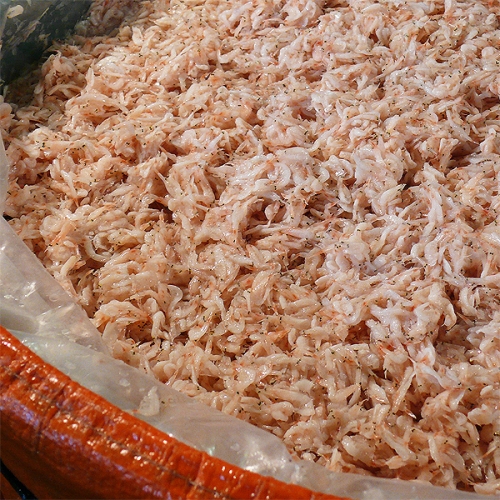 에코스토리  광천 토굴 새우젓(육젓) 골드 2kg