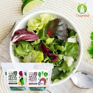 샐러드팜  자연을 담은 샐러드 혼합 (채소만) 100g