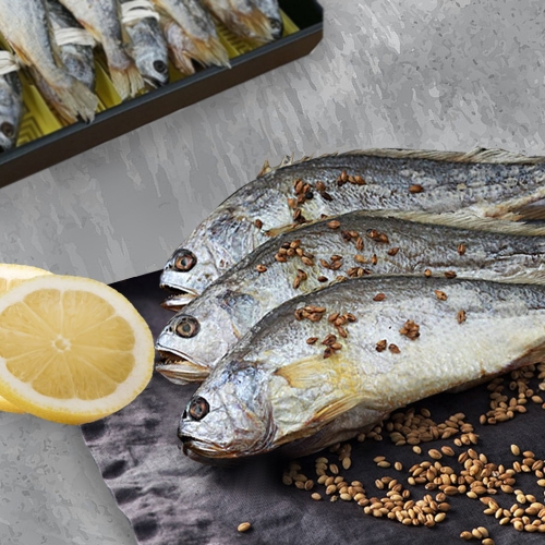 한식단  영광 법성포 부세 보리굴비 32cm 10미