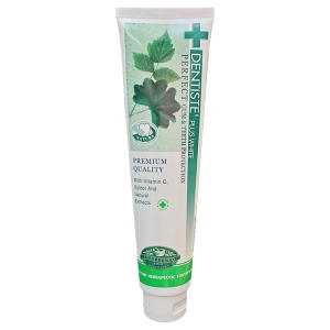 DKSH 덴티스테 플러스 화이트 치약 200g