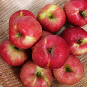 인팜  경북 햇 빨간사과 가정용 55~66과 9kg [1개]