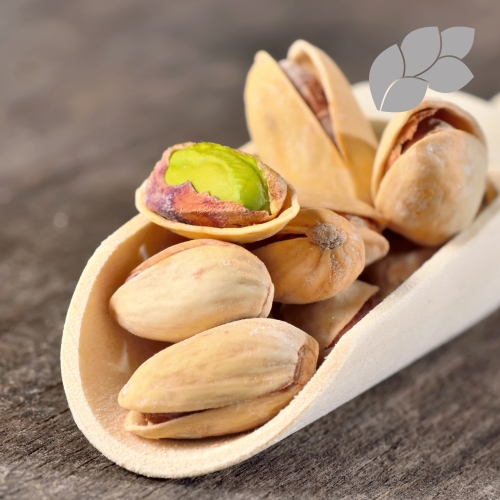 논앤밭위드  파스타치오 1kg