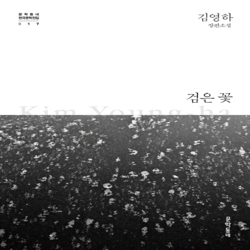 문학동네 검은꽃 김영하 장편소설 개정판
