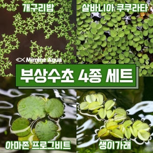 미미네아쿠아  부상 수초 키우기 4종세트