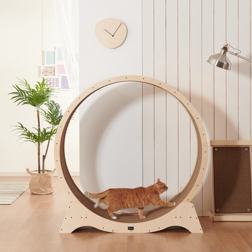 스윗캣 더 와이드 캣휠 1200