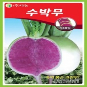 AR  수박무 씨앗 100립